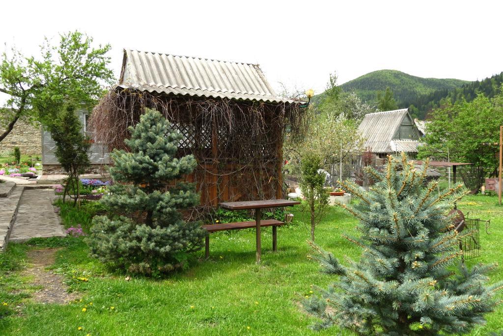 Bilyy Kamin Guest House Tatariv Luaran gambar