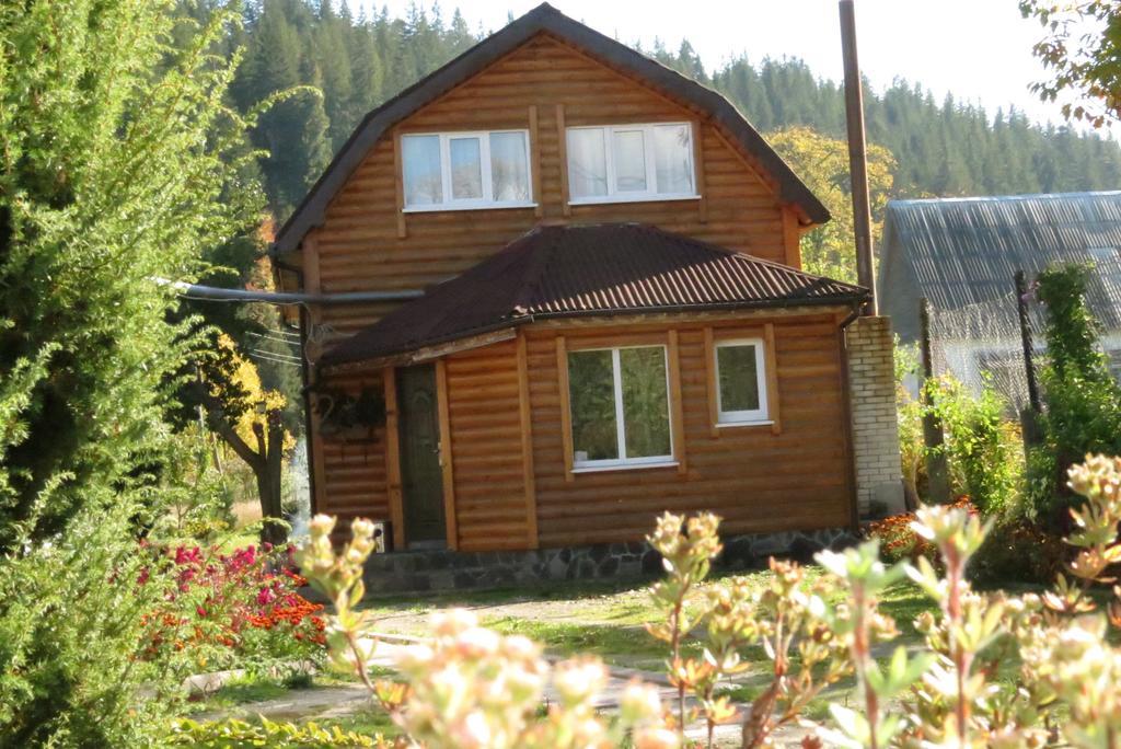 Bilyy Kamin Guest House Tatariv Bilik gambar